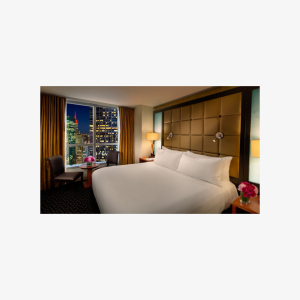 One Night for 2 People - Millennium Hotel Broadway Times Square